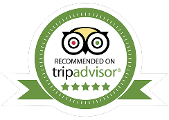 Tripadvisor Logo